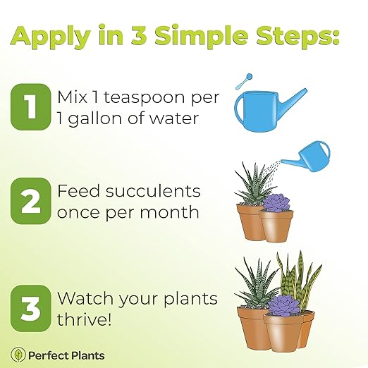Perfect Plants Liquid Cactus & Succulent Fertilizer 8oz. | Food for Live Succulents, Cacti, Aloe & More | Indoor and Outdoor Use with Every Watering