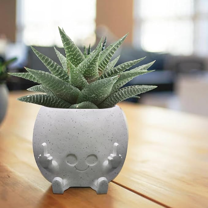 Smiling Plant Pot with Middle Fingers Up, Face Planter Pot Resin Flower Planters for Indoor Outdoor Plants Succulent Pots for String of Pearls Plant Live Gift Ideas for Mother (White)