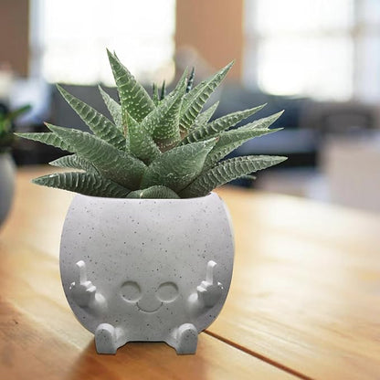 Smiling Plant Pot with Middle Fingers Up, Face Planter Pot Resin Flower Planters for Indoor Outdoor Plants Succulent Pots for String of Pearls Plant Live Gift Ideas for Mother (White)