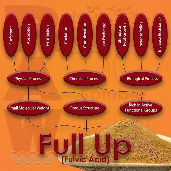 RAW Full Up 2 oz
