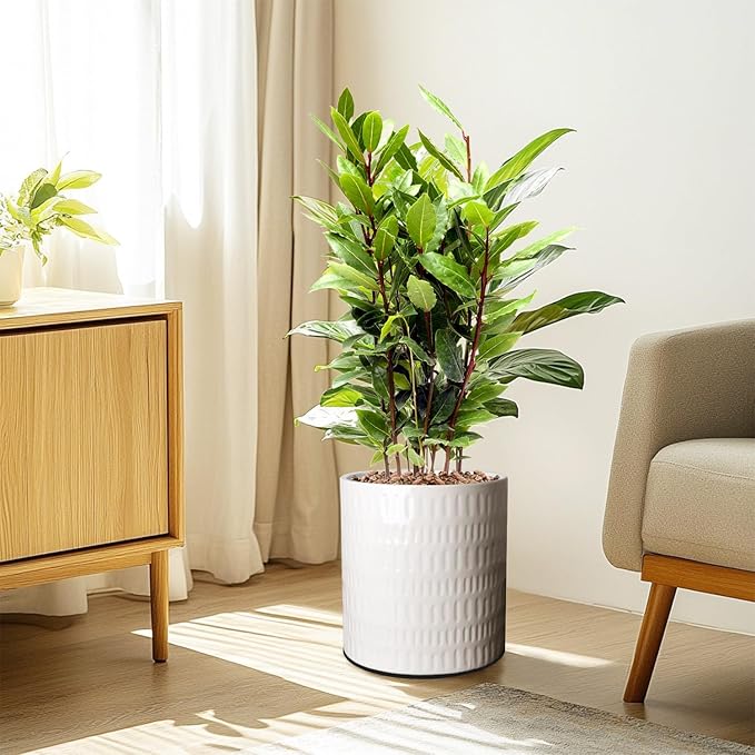 10 Inch Plant Pot,Ceramic Planter with Drainage,Large Planters for Indoor Plants,Indoor&Outdoor Plant pots,Ceramic Flower pots,Cylinder Flower Planter Pot(Pure White)