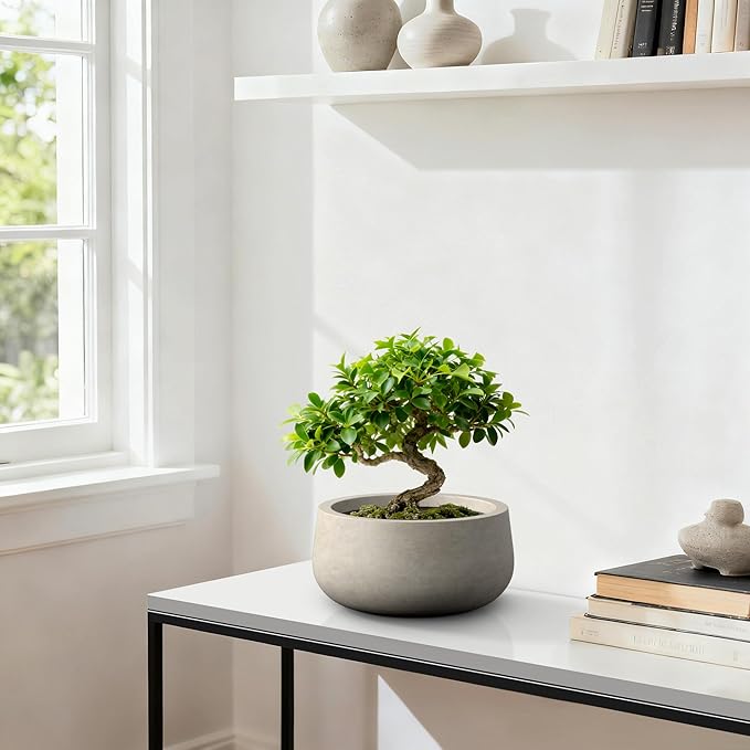 Kante 15.7" Dia Round Concrete Planter, Outdoor Indoor Garden Plant Pots with Drainage Hole and Rubber Plug, Modern Curvaceous Design, Weathered Concrete
