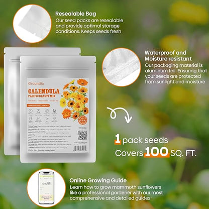 Calendula Seeds Pacific Beauty Mix, 3000+ Calendula Officinalis Seeds, Open Pollinated Non-GMO Wildflower Seed Grown in The USA, 1 Ounce