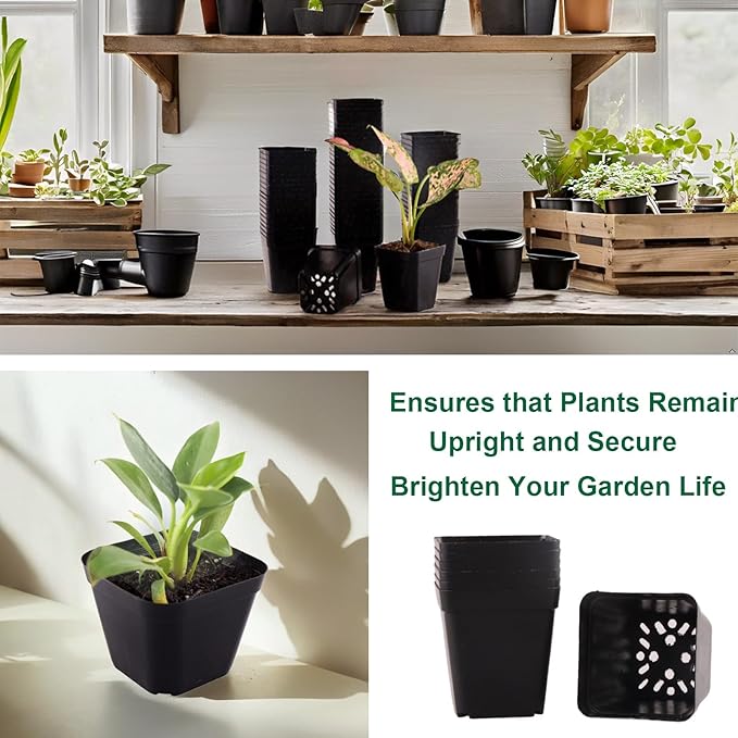 50 Packs Square Nursery Pots for Plants 4 Inch Succulent Plant Pots Set Plastic Seedling Starting Pots with Drainage Holes Nursery Pots Variety Pack Flower pots Planter Seed Starter, Black