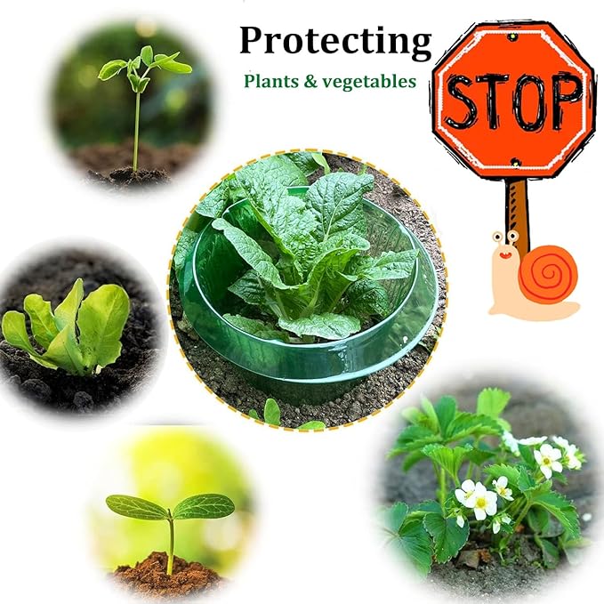 Fshow Garden Cloches，15 Pack Plastic Slug & Snail Plant Protection Collars,Snail Defense Without Chemistry, Snail Collar Protects Plants to Get Better. (Emerald Green)