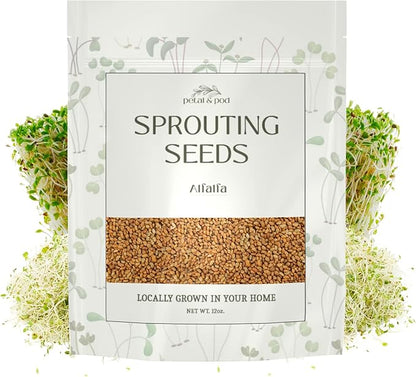 Petal & Pod Microgreens & Sprouting Seeds (12oz) - Alfalfa - Seeds for MicroGreens Growing Kit and Sprouting Jars