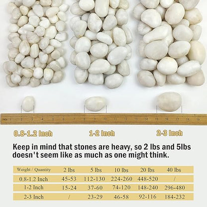 5 lbs White River Rocks, Polished Pebbles for Indoor Plants, 1-2 inch Decorative White Stones for Plants Vase Aquarium Fish Tank and Outdoor Garden Landscaping Rocks