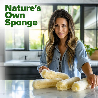 HOME GROWN Luffa Seeds 2 Pack(Luffa aegyptiaca) 80 Heirloom Non GMO Loofah Gourd Seeds for Planting High Germination Rate - Make Sponges or Harvest Young Loofahs for Eating