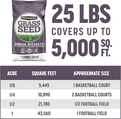 Pennington Annual Ryegrass Retail Bag to Overseed Warm Season Grasses, 25 lb