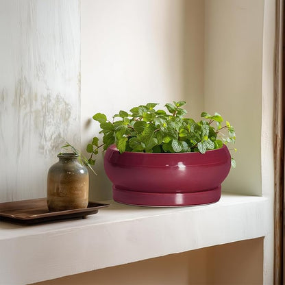Succulent Pots - 8 Inch Bonsai Pots for Indoor Outdoor, Shallow Ceramic Planter with Drainage Hole and Saucer, Round Flower Succulent Planters, Apartment Decor, Gardening Gift, Wine Red