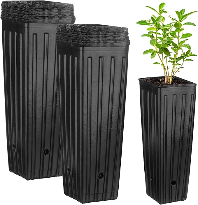 100-Pack Plant Nursery Pots, 3.94x3.94x11.81 Inch Plastic Deep Growing Nursery Pots Succulent Planter Flower Tree pots with Drainage Holes for Indoor Outdoor Gardening [Black]