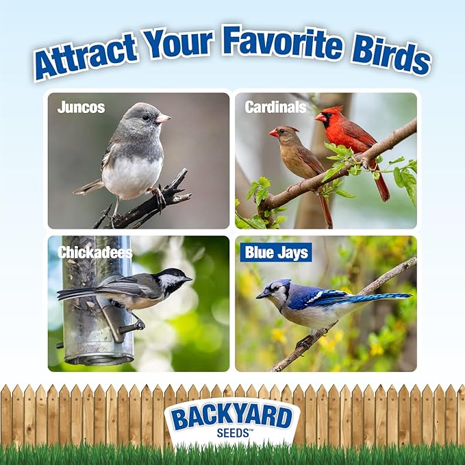 CountryMax Backyard Seeds Black Oil Sunflower Seeds for Wild Birds 50lbs - Thin Shells, Premium Cardinal Food, Large Bulk Bag of Black Oil Sunflower Seeds