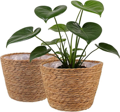 2PCS Seagrass Plant Basket for Indoor and Outdoor,Wicker Planter Basket with Liner for 6 inch Pot,Indoor Plant Pot Covers for Potted Plants, Rattan Storage Baskets for Rustic Boho Farmhouse Decor
