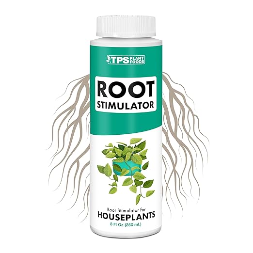 Root Stimulator for Indoor Plants – Liquid Root Booster with Probiotics & Seaweed to Support Healthy Root Growth, 8 oz