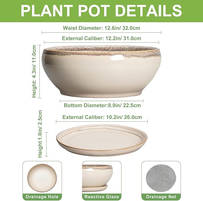 SQOWL Bonsai Pots 12 Inch - Large Ceramic Succulent Planters, Shallow Planter with Drainage Hole and Saucer, Round Bowl Planter for Indoor Outdoor Plants, Home Decor, Plant Lover Gifts, Beige