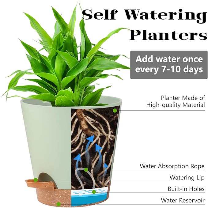 Self Watering Pot for Indoor & Outdoor Plants - African Violet, Flowers, Succulent & Cactus Plant Pots with Drainage Holes - Green Plastic Pots - Gift Idea for Lazy People - House Decor