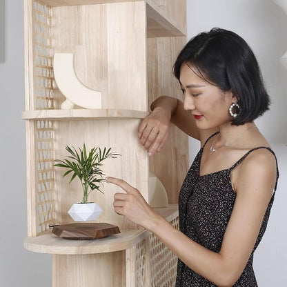 MOOCCI Floating Plant Pot Magnetic Levitating Plant Pot for Succulents, Air Bonsai and Fake Flowers and Plants, Unique Decor for Home, Office and Desk, Father's Day (Brown)