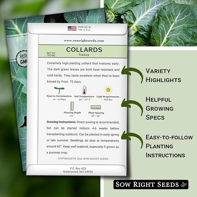 Sow Right Seeds - Vates Collard Greens Seeds for Planting - Non-GMO Heirloom Packet with Instructions to Plant a Home Vegetable Garden - Nutritious and Classic Cooked Southern Greens (4)