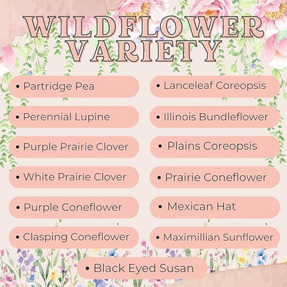 Wildflower Seed Packets Thank You Bunches Party Favors (Pack of 20) - Express Gratitude Prefilled with Wildflower Seed Mix, Great Addition or Alternative to Thank You Cards (Pink Bees)