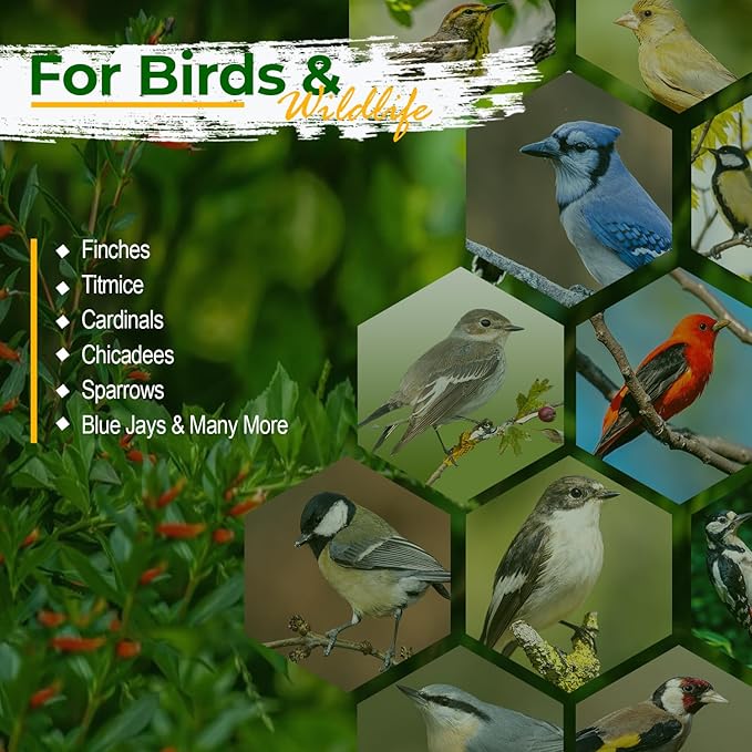 Old Potters Wildlife Safflower Seed for Wildlife Bird Feeding, Non-GMO and USA Small Farm Grown, 12 lbs