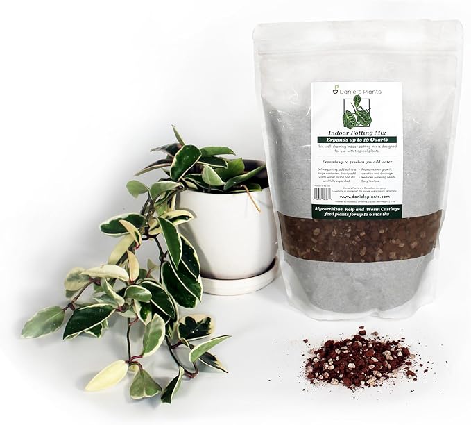 Daniel’s Plants Indoor Potting Soil – Enriched with Kelp, Worm Castings & Microorganisms for Healthy Growth, Aeration & Moisture Control (10-Quart)