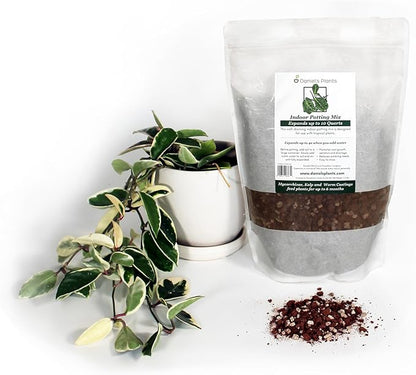 Daniel’s Plants Indoor Potting Soil – Enriched with Kelp, Worm Castings & Microorganisms for Healthy Growth, Aeration & Moisture Control (10-Quart)