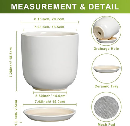Ceramic Plant Pot - Modern 8 Inch Round Planter for Indoor Outdoor Plants with Drainage Hole and Saucer, Home House Room Office Decor, White