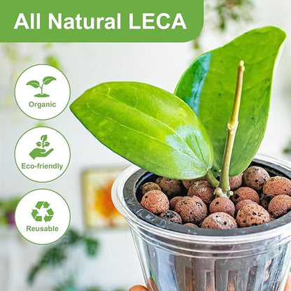 5 lbs LECA Clay Pebbles for Plants, 4-16mm LECA Balls for Indoor Plants Drainage, Hydroponics, Aquaponics, Natural Clay Balls for Soil Root Development, Orchid Potting Mix