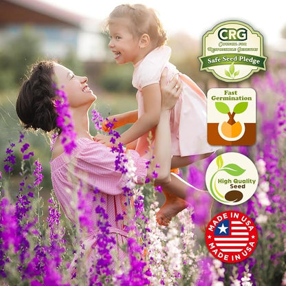 Rocky Mountain Wildflower Seed Mix 1oz - Premium Wildflower Seed Mix for High Mountain Elevations 1 oz