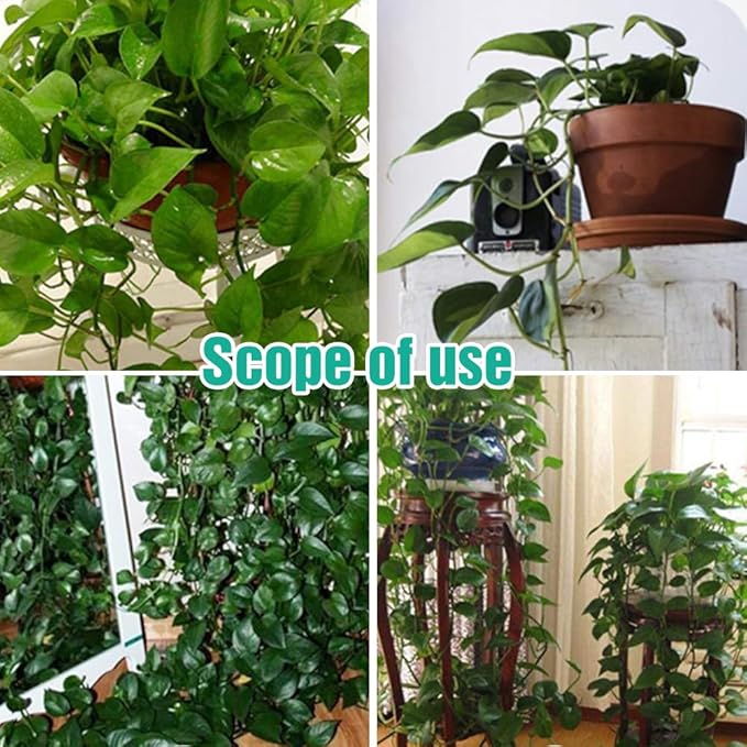 Plant Climbing Wall Fixture Clips, 2026 New Plant Clips for Climbing Plants, Green Leaf Shaped Self-Adhesive Plant Wall Clips for Vine Support Traction and Cable Organization (10, Green)
