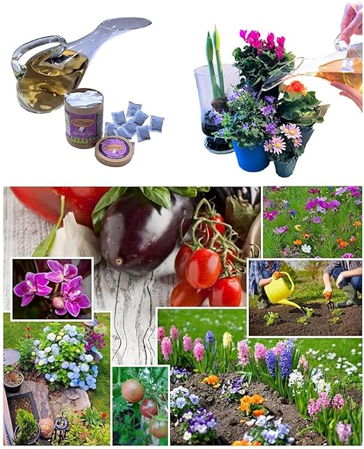 TeaDrops Organic All Purpose Plant Fertilizer – 16 Liquid Indoor House Plant Food Packets – Make up to 32 Gallons (Easy use in Watering Can & Containers, Ecofriendly)