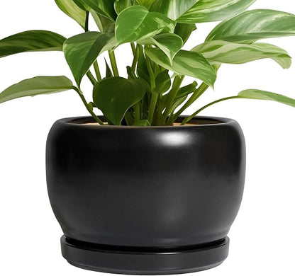 SQOWL Ceramic Plant Pots - 8 Inch Planter Indoor, Round Flower Pot with Drainage Hole and Saucer, Modern Outdoor Planter, Apartment Decor, Gifts for Plant Lovers, Black