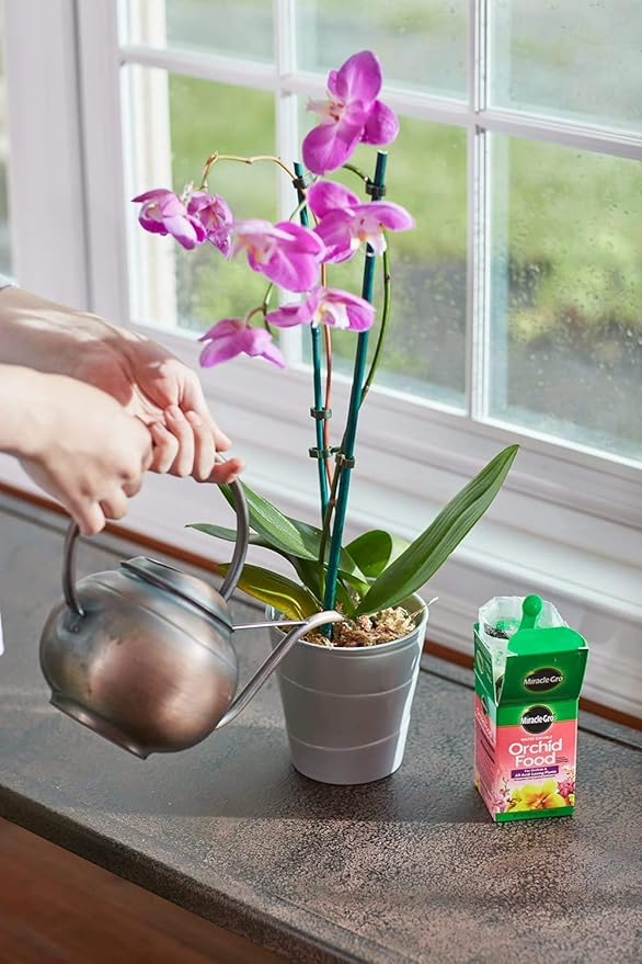 Miracle-Gro Water Soluble Orchid Food, Plant Fertilizer, 8 oz. (12-Pack)