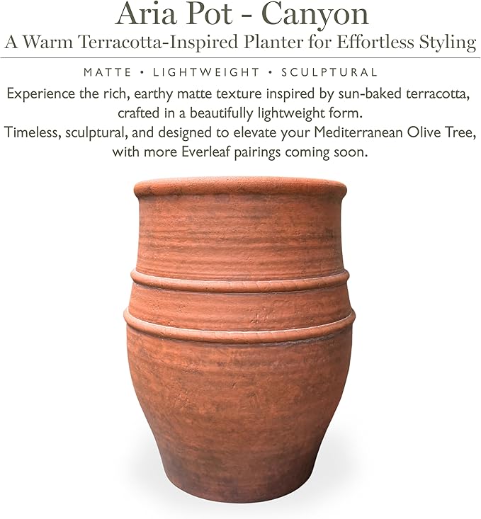 Everleaf Aria Planter Pot Small Lightweight Modern Decorative Pot for Faux Trees & Indoor Plants, Ultra-Light Matte Finish Planter for Living Room Decor Terracotta Color Canyon