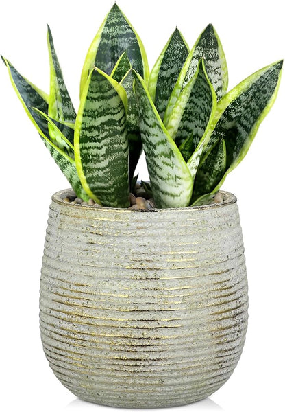 DILATATA Ceramic Pots with Drainage Hole 6.7 Inch Flower Plant Pot Indoor Round Planter Pot for Succulents, Cacti, Cactus, Snake Plants Home Decor - Gold