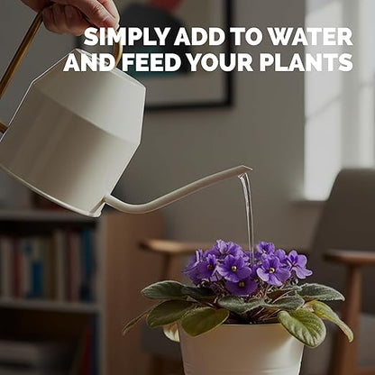 African Violet Fertilizer – Liquid African Violet Plant Food for Indoor Plants, 1 Gallon
