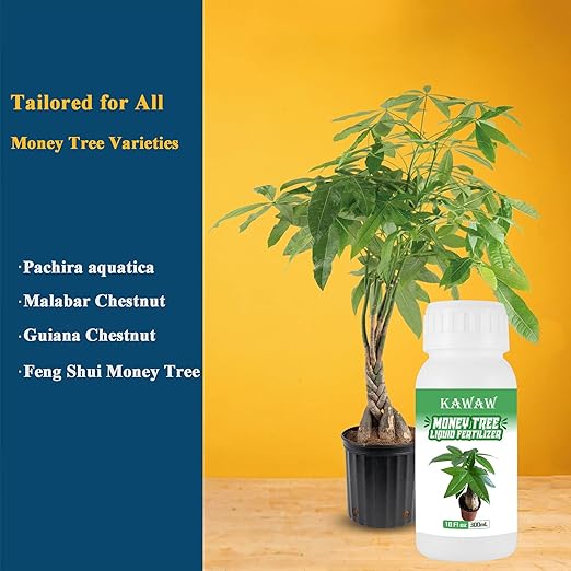 Money Tree Fertilizer for Money Trees and All Pachira Plants,Microbial Organic Liquid Plant Food for Houseplants’ Healthy Growth & Glossy Leaves 10 oz (300mL)