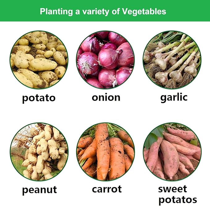 Potato Grow Bags,(5 Pack 10 Gallon) Garden Vegetables Growing Planter with Handles and Access Flap for Planting Potato Carrot Onion Taro Radish Peanut, (Green)