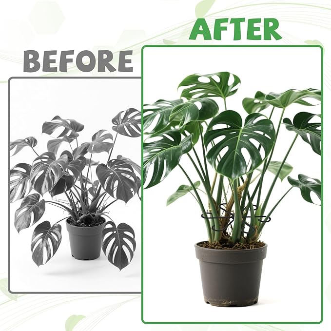 Augshy 12 Pcs Plant Stem Holders, Plastic Invisible Plant Support Stakes Indoor Reusable Climbing Houseplant Stem Supports Hook Growth Accessories for Indoor Home Garden