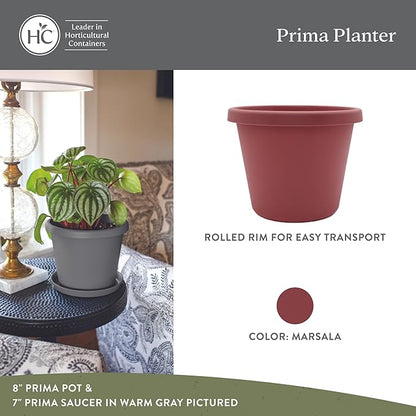 The HC Companies Prima Round Plastic Plant Pot w/Rolled Rim - Lightweight & UV Resistant Flower Pot for Herbs & More - Outdoor & Indoor Plant Pots w/Drainage (6 inch, Marsala, Pack of 1)