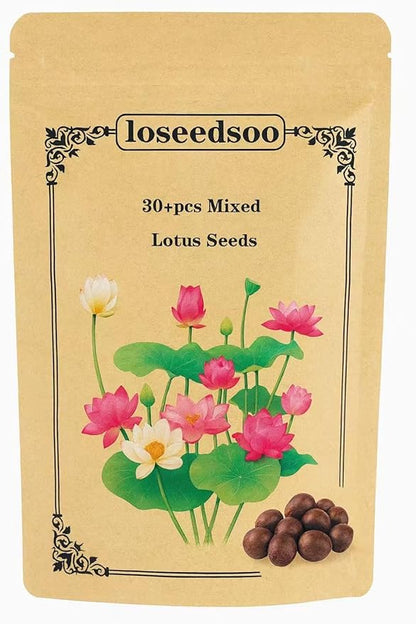 30PCS Premium Lotus Seeds for Planting in Water – Mixed Color Bowl Flower for Ponds, Bonsai, Indoor Water Gardens & Lotus Bowl Planter – Non-GMO, Easy Grow Water Lotus Seeds