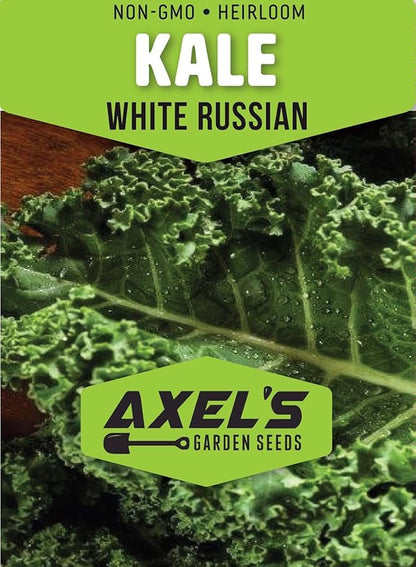 Kale Seeds for Planting - Plant & Grow Heirloom Kale Varieties Home Outdoor Garden – Easy Grow Planting Packet Instructions Included, Great Gardening Gift – 1 Packet of Each Variety