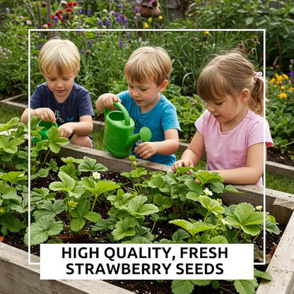 1,000 Strawberry Seeds for Planting – Perpetual Four Seasons Strawberry Seeds | Continuous Harvest for Home Gardens