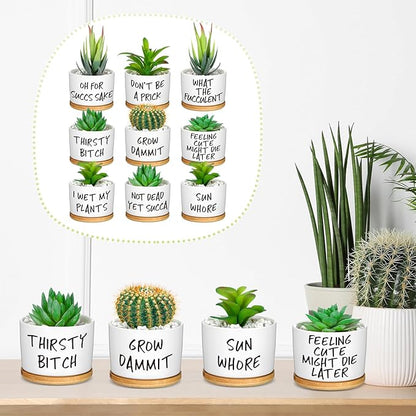 Domensi 9 Pcs Funny Succulent Pots Cute Aloe Cactus Planter with Bamboo Tray Ceramic Accessories White Mini Flower Drainage Tray Pots Indoor Outdoor Plants Birthday Gifts Housewarming Women Coworker