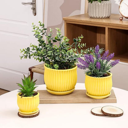 Yellow Ceramic Flower Pots with Saucers, Modern Round Ceramic Succulent Plant Pots with Stripe Texture, Small to Medium Sized, Set of 3