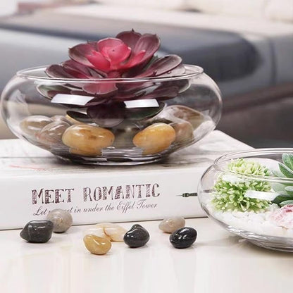 Lotus Bowl Planter Glass Lotus Bowls for Planting in Water Indoors Bonsai Pots No Drainage Hole Hydroponic Aquatic Plants Terrarium Fish Bowl Medium