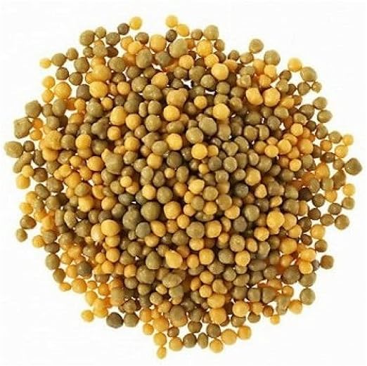 ® Osmocote Classic Flower and Vegetable Smart-Release Plant Food, 15 oz (14-14-14 Plant Fertilizer)