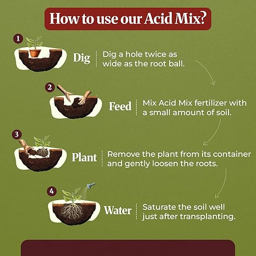Down To Earth Citrus Mix 6-3-3 & Acid Mix 4-3-6 Fertilizer Bundle | Organic Plant Food for Citrus, Blueberries & Acid-Loving Plant | Nutrient-Rich Soil Amendment for Garden & Potted Plants | 5 lb Each