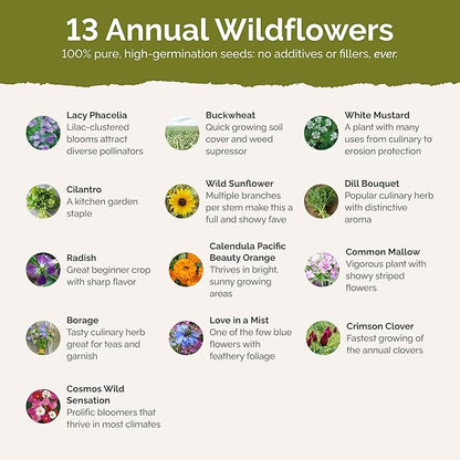 Eden Brothers Bee Happy Organic Wildflower Mixed Seeds for Planting, 1 oz, 30,000+ Seeds with Cosmos, Crimson Clover | Attracts Pollinators, Plant in Spring or Fall, Zones 3, 4, 5, 6, 7, 8, 9, 10