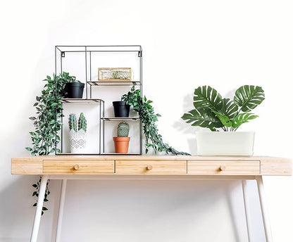 5-Pack White Herb Planter Box with Drip Trays, 8.5 Inch Small Oval Window Planters for Kitchen Sill, Indoor Outdoor, Perfect for Basil, Mint, Succulents, Flowers